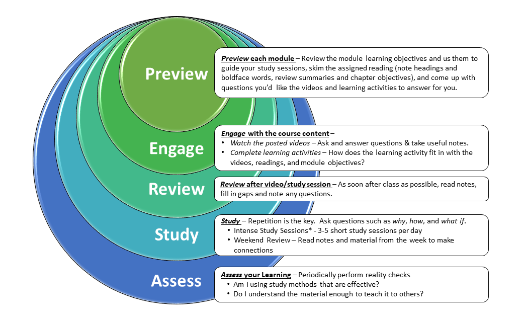 Preview each module – Review the module learning objectives and us them to guide your study sessions, skim the assigned reading (note headings and boldface words, review summaries and chapter objectives), and come up with questions you’d like the videos and learning activities to answer for you. Engage with the course content – Watch the posted videos – Ask and answer questions & take useful notes. Complete learning activities – How does the learning activity fit in with the videos, readings, and module objectives? Review after video/study session – As soon after class as possible, read notes, fill in gaps and note any questions. Study – Repetition is the key. Ask questions such as why, how, and what if. Intense Study Sessions* - 3-5 short study sessions per day Weekend Review – Read notes and material from the week to make connections Assess your Learning – Periodically perform reality checks Am I using study methods that are effective? Do I understand the material enough to teach it to others