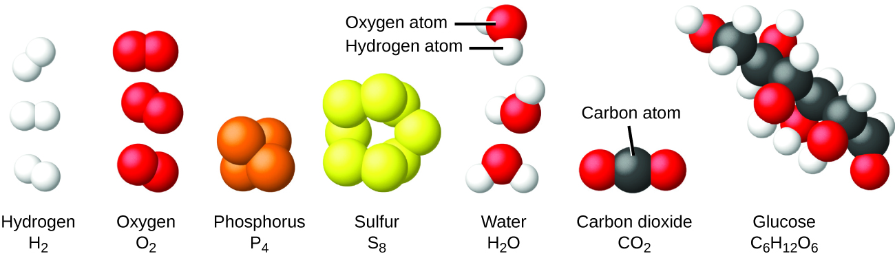 The hydrogen molecule, H subscript 2, is shown as two small, white balls bonded together. The oxygen molecule O subscript 2, is shown as two red balls bonded together. The phosphorous molecule, P subscript 4, is shown as four orange balls bonded tightly together. The sulfur molecule, S subscript 8, is shown as 8 yellow balls linked together. Water molecules, H subscript 2 O, consist of one red oxygen atom bonded to two smaller white hydrogen atoms. The hydrogen atoms are at an angle on the oxygen molecule. Carbon dioxide, C O subscript 2, consists of one carbon atom and two oxygen atoms. One oxygen atom is bonded to the carbon’s right side and the other oxygen is bonded to the carbon’s left side. Glucose, C subscript 6 H subscript 12 O subscript 6, contains a chain of carbon atoms that have attached oxygen or hydrogen atoms.