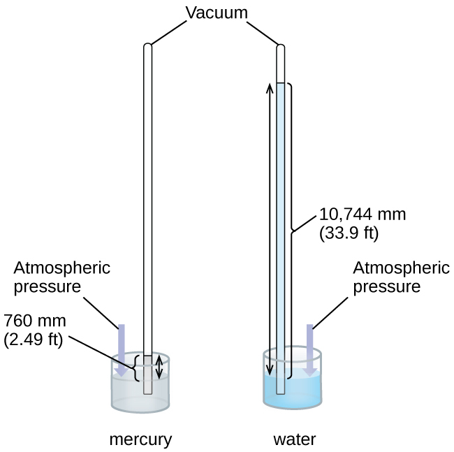 This figure shows two barometers. The barometer to the left contains a shallow reservoir, or open container, of mercury. A narrow tube extends upward from the reservoir above the reservoir. This tube is sealed at the top. To the right, a second similar setup is shown with a reservoir filled with water. Line segments connect the label “vacuum” to the tops of the two narrow tubes. The tube on the left shows the mercury in the reservoir extending in a column upward in the narrow tube. Similarly, the tube on the right shows the water in the reservoir extending upward into the related narrow tube. Double-headed arrows extend from the surface of each liquid in the reservoir to the top of the liquid in each tube. A narrow column or bar extends from the surface of the reservoir to the same height. This bar is labeled “atmospheric pressure.” The level of the water in its tube is significantly higher than the level of mercury in its tube.