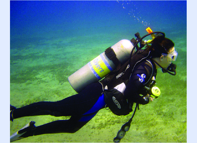 This photograph shows a scuba diver underwater with a tank on his or her back and bubbles ascending from the breathing apparatus.