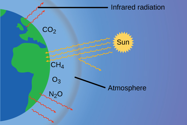 This diagram shows half of a two dimensional view of the earth in blue and green at the left of the image. A slight distance outside the hemisphere is a grey arc. A line segment connects the label “Atmosphere” to the region between the hemisphere and the grey arc. In this region, near the surface of the earth the chemical formulas C O subscript 2, C H subscript 3, and N subscript 2 O appear. Five red arrows formed from wavy lines extend from green regions on the earth out into and just beyond the region labeled “Atmosphere.” The label “Infrared radiation” points to one of these red arrows. At a fair distance outside of the grey arc appears a yellow circle with a jagged boundary. This circle is labeled “Sun.” From it extend yellow arrows with wavy lines which extend toward the earth. Three of the arrows extend to the green region on the earth. One of the arrows appears to be reflected off the grey arc, causing its path to turn away from the earth.