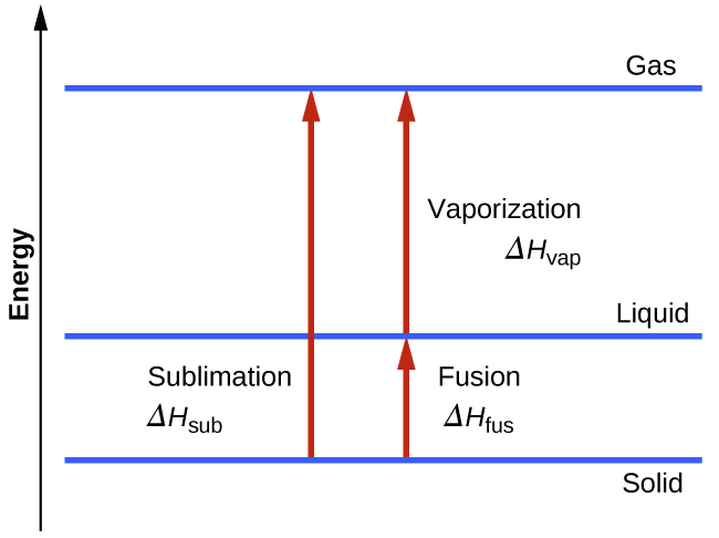 A diagram is shown with a vertical line drawn on the left side and labeled “Energy” and three horizontal lines drawn near the bottom, lower third and top of the diagram. These three lines are labeled, from bottom to top, “Solid,” “Liquid” and “Gas.” Near the middle of the diagram, a vertical, upward-facing arrow is drawn from the solid line to the gas line and labeled “Sublimation, delta sign, H, subscript sub.” To the right of this arrow is a second vertical, upward-facing arrow that is drawn from the solid line to the liquid line and labeled “Fusion, delta sign, H, subscript fus.” Above the second arrow is a third arrow drawn from the liquid line to the gas line and labeled, “Vaporization, delta sign, H, subscript vap.”