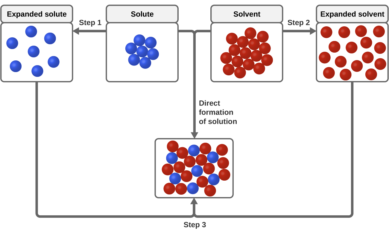 The top, central region of the figure shows solute particles as seven blue spheres and solvent particles as 16 red spheres in separate, labeled boxes. The particles in these boxes are touching. An arrow labeled “Step 1” points left of the solute box, and shows the blue spheres no longer touching in another box labeled “expanded solute.” An arrow labeled “Step 2” points right from the solvent box and shows the red spheres no longer touching in another box labeled “expanded solvent.” Arrows proceed from the bottom of the expanded solute and expanded solvent boxes and join at the bottom of the figure where a step 3 label is shown. The joined arrows point to a box just above in which the red and blue spheres are mixed together and touching. The solute and solvent boxes are joined by another arrow labeled “direct formation of solution” which points downward at the center of the figure. This arrow also points to the box containing mixed red and blue spheres near the bottom of the figure.