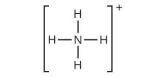 A Lewis structure shows a nitrogen atom single bonded to four hydrogen atoms. The structure is surrounded by brackets with a superscripted positive sign.