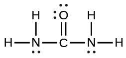 A Lewis structure is shown. A nitrogen atom is single bonded to two hydrogen atoms and a carbon atom. The carbon atom is single bonded to an oxygen atom and one nitrogen atom. That nitrogen atom is then single bonded to two hydrogen atoms. The oxygen atom has two lone pairs of electron dots, and the nitrogen atoms have one lone pair of electron dots each.