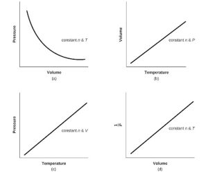 Four graphs are shown. In a, Volume is on the horizontal axis and Pressure is on the vertical axis. A downward trend with a decreasing rate of change is shown by a curved line. The label n, P cons is shown on the graph. In b, Temperature is on the horizontal axis and Volume is on the vertical axis. An increasing linear trend is shown by a straight line segment. The label n, P cons is shown on the graph. In c, Temperature is on the horizontal axis and Pressure is on the vertical axis. An increasing linear trend is shown by a straight line segment. The label n, P cons is shown on the graph. In d, Volume is on the horizontal axis and 1 divided by Pressure is on the vertical axis. An increasing linear trend is shown by a straight line segment on the graph. The label n, P cons is shown on the graph.