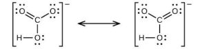 Two Lewis structures are shown, with a double-headed arrow in between, each surrounded by brackets and a superscripted negative sign. The left structure depicts a carbon atom bonded to three oxygen atoms. It is single bonded to one of these oxygen atoms, which has three lone pairs of electrons, and double bonded to the other two, which have two lone pairs of electrons. One of the double bonded oxygen atoms also has a single bond to a hydrogen atom. The right structure is the same as the first, but there is only one double bonded oxygen. The oxygen with the single bonded hydrogen now has a single bond to the carbon atom. The lone pairs of electrons have also changed to correspond with the bonds.