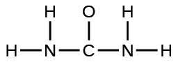 A Lewis structure is shown. A nitrogen atom is single bonded to two hydrogen atoms and a carbon atom. The carbon atom is single bonded to an oxygen atom and another nitrogen atom. That nitrogen atom is then single bonded to two hydrogen atoms.