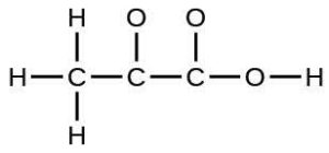 A Lewis structure is shown. A carbon atom is single bonded to three hydrogen atoms and another carbon atom. The second carbon atom is single bonded to an oxygen atom and a third carbon atom. This carbon is then single bonded to two oxygen atoms, one of which is single bonded to a hydrogen atom.