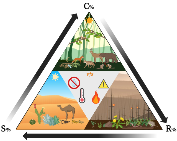 Grimes triangle comparing ruderal, competitive, and stress-tolerant life history strategies in plants