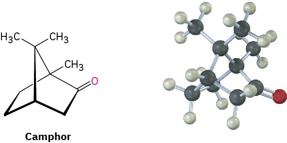 49 Conformations Of Polycyclic Molecules Organic Chemistry A Tenth Edition Openstax 8824