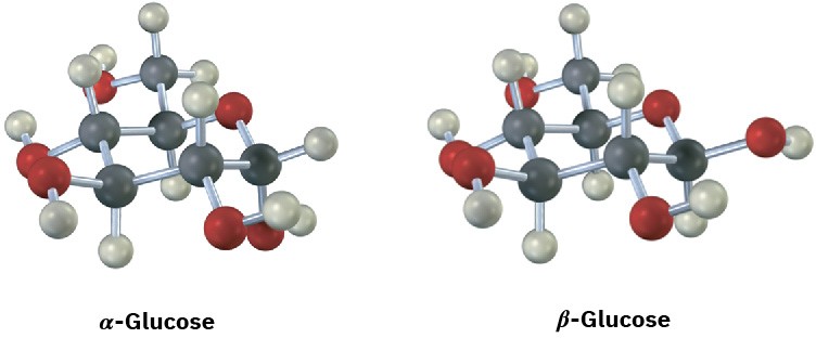 49 Conformations Of Polycyclic Molecules Organic Chemistry A Tenth Edition Openstax 4888