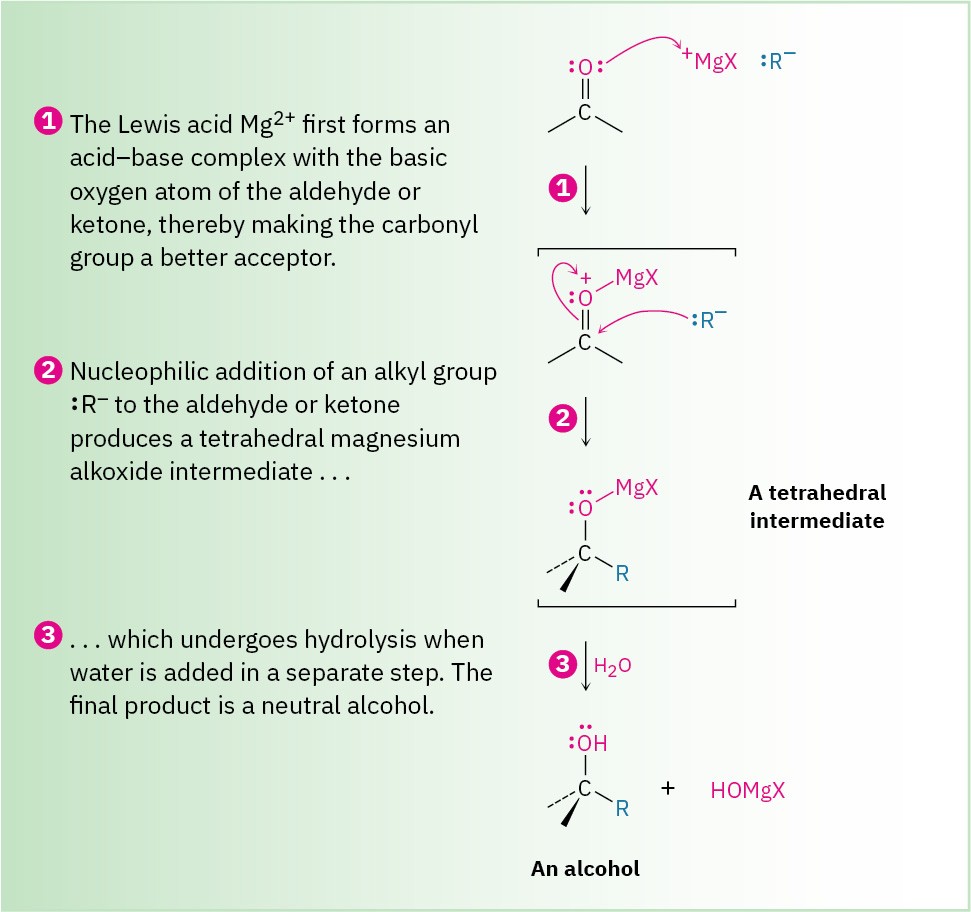 10.7 Nucleophilic Addition of Hydride and Grignard Reagents: Alcohol ...