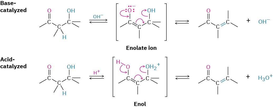 23.3 Dehydration of Aldol Products: Synthesis of Enones – Organic ...