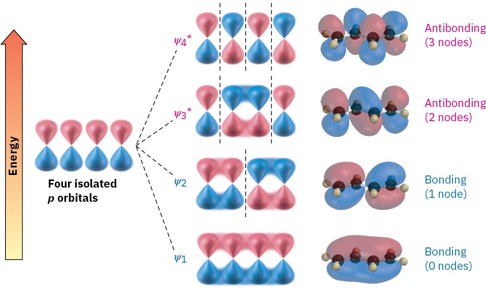 14.1 Stability of Conjugated Dienes: Molecular Orbital Theory – Organic ...