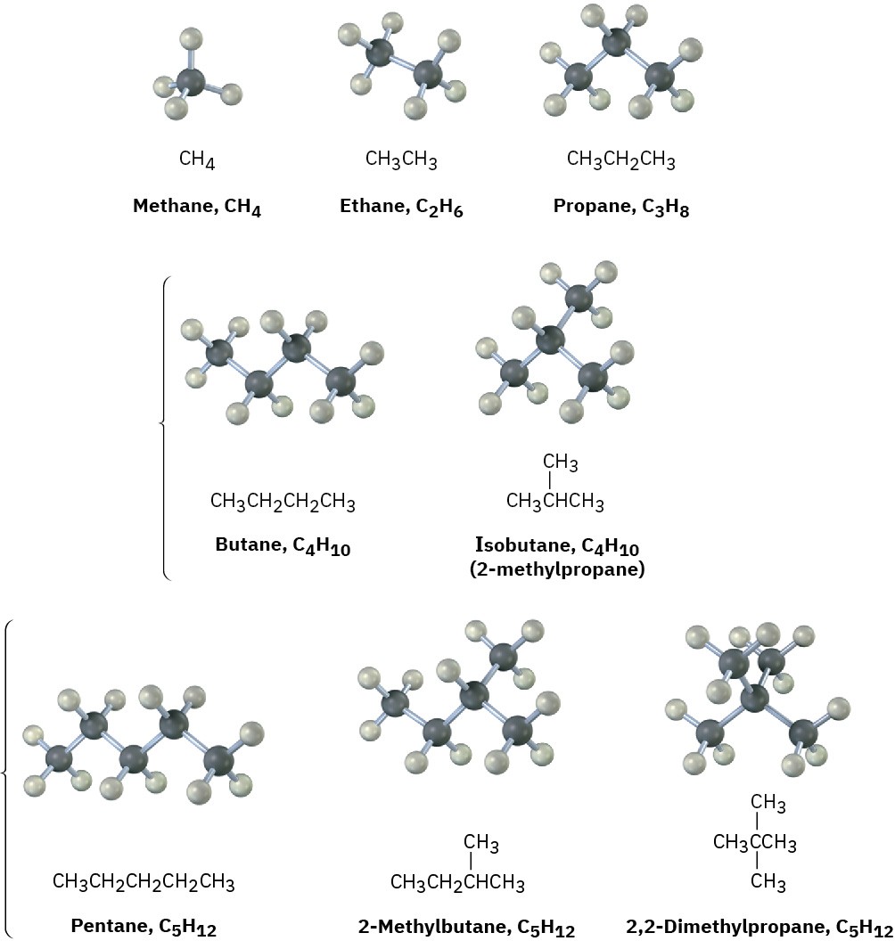 3.2 Alkanes and Alkane Isomers – Organic Chemistry: A Tenth Edition ...