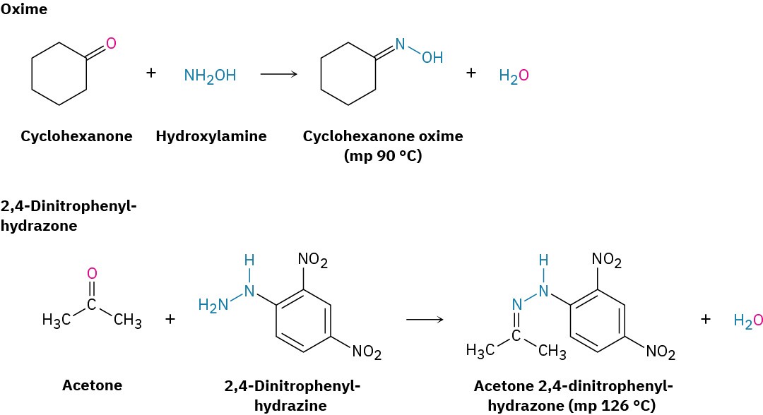 19.8 Nucleophilic Addition of Amines: Imine and Enamine Formation ...