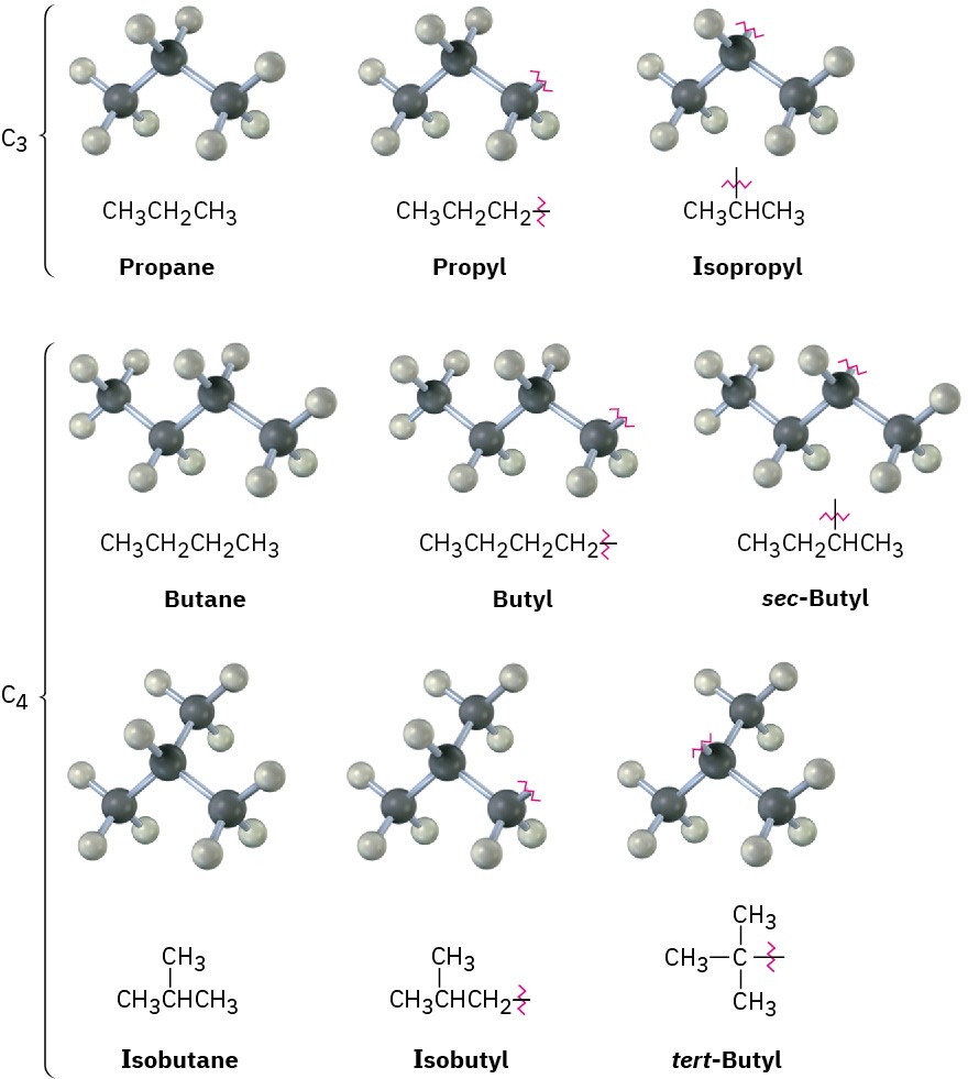 3.3 Alkyl Groups – Organic Chemistry: A Tenth Edition – OpenStax ...