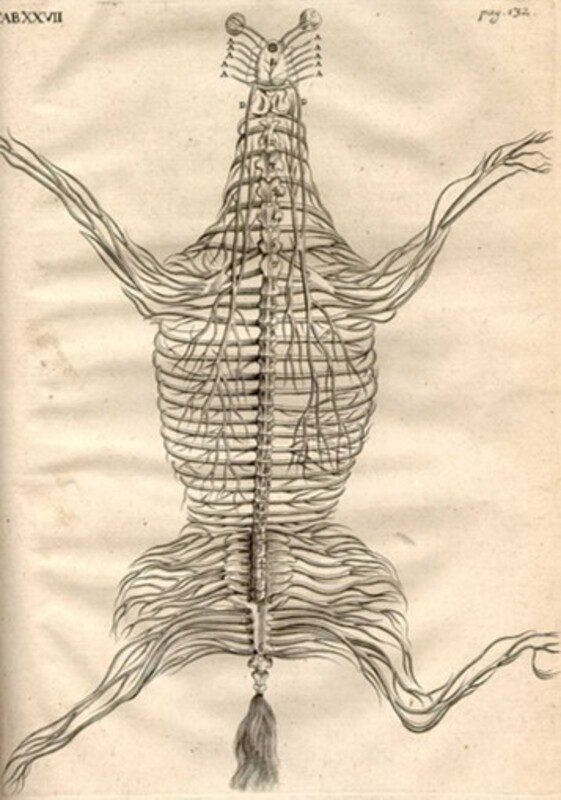 Cover image for Unit 3: Nervous System