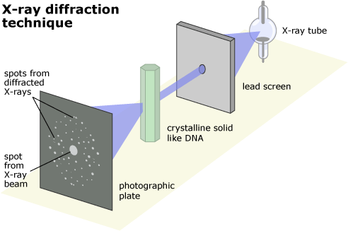 The x-ray diffraction technique involves an x-ray tube, a lead screen, a crystalline solid like DNA, and a photographic plate. On the photographic plate there is a spot from the x-ray beam and then some spots from diffracted x-rays.