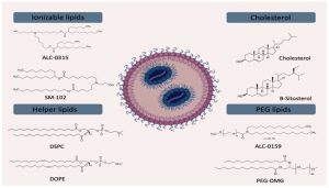 The main composition of LNPs for nucleic acid delivery