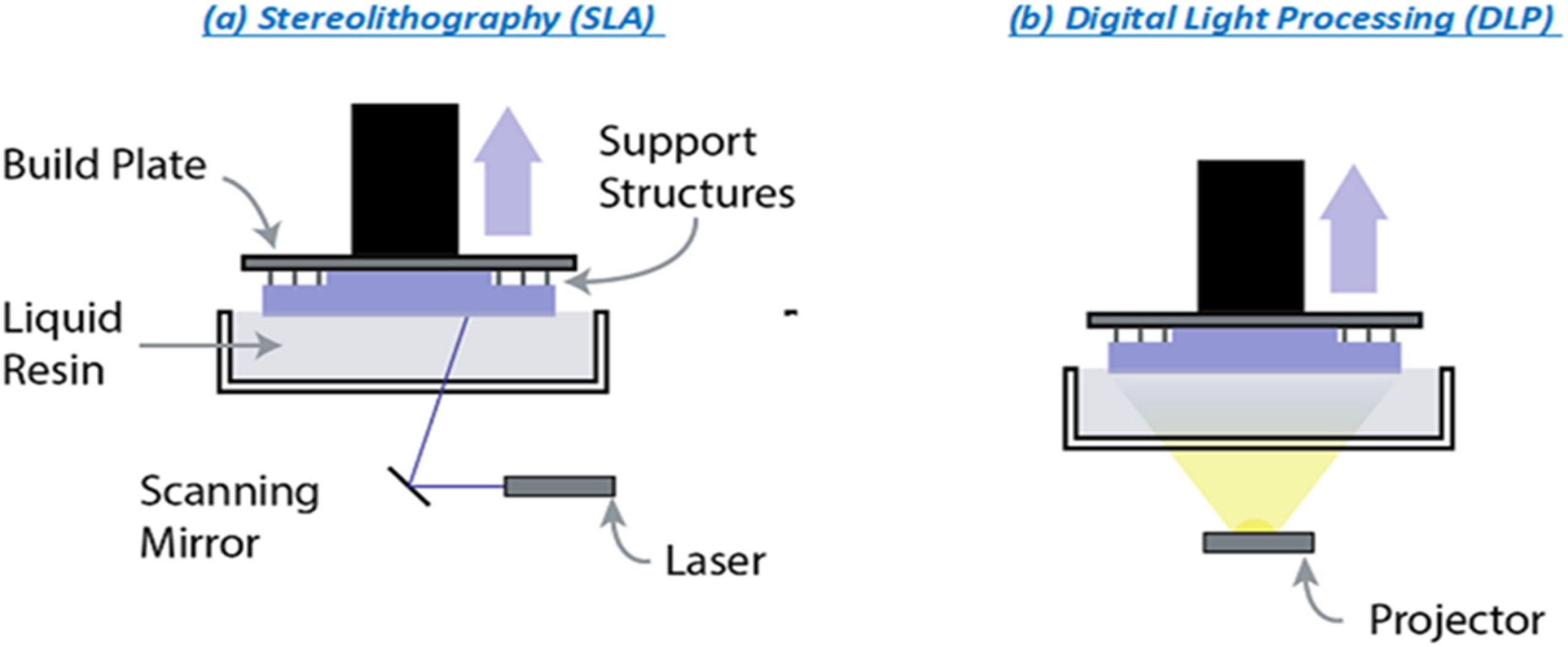 Schematic Diagram of (a) SLA and (b)DLP Working Principles